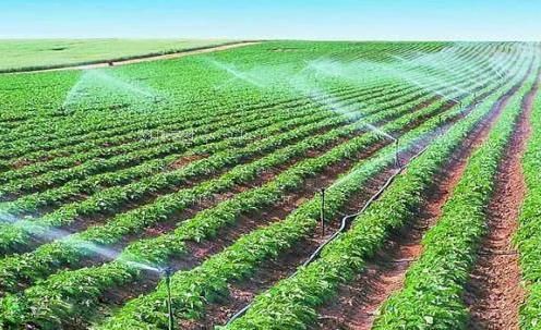 白虎嫩穴图片专区农田高 效节水灌溉